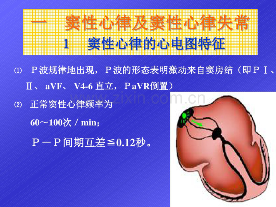 心电图学.pdf_第2页