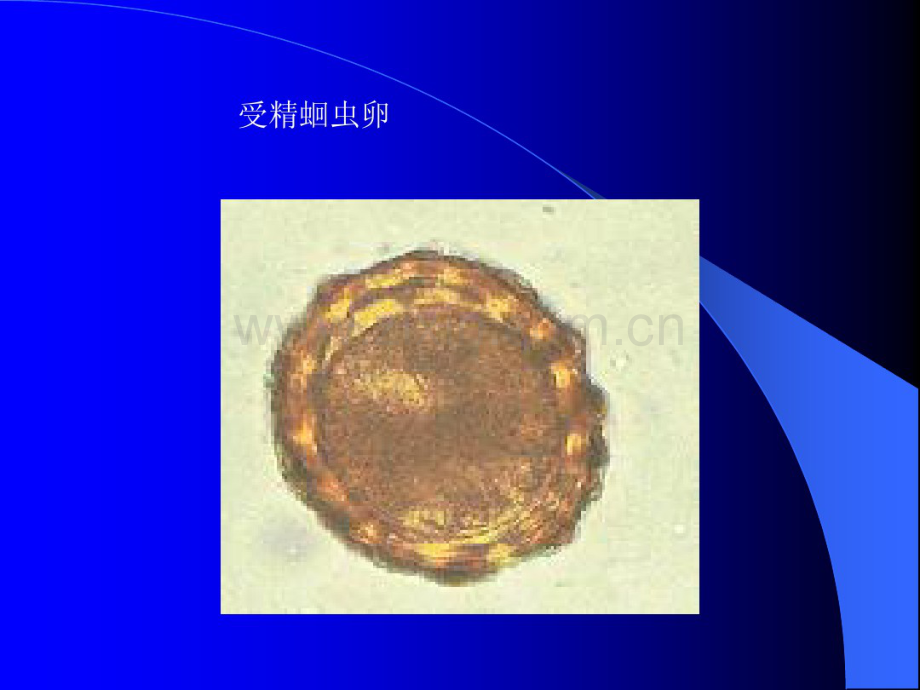 图片复习.pdf_第3页