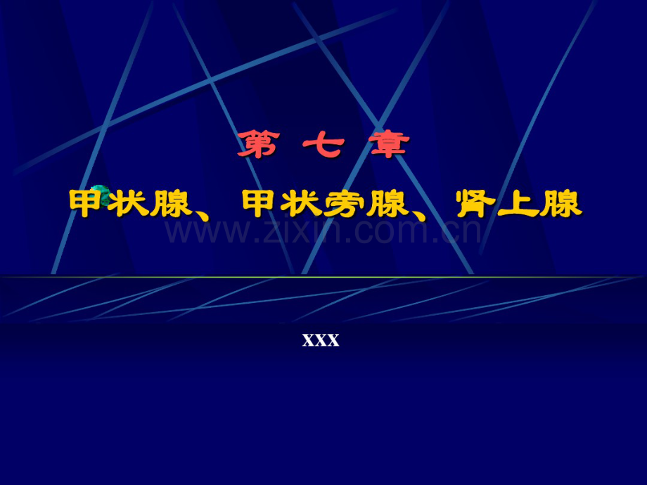 第7章甲状腺、甲状旁腺、肾上腺(20190827193247).pdf_第1页