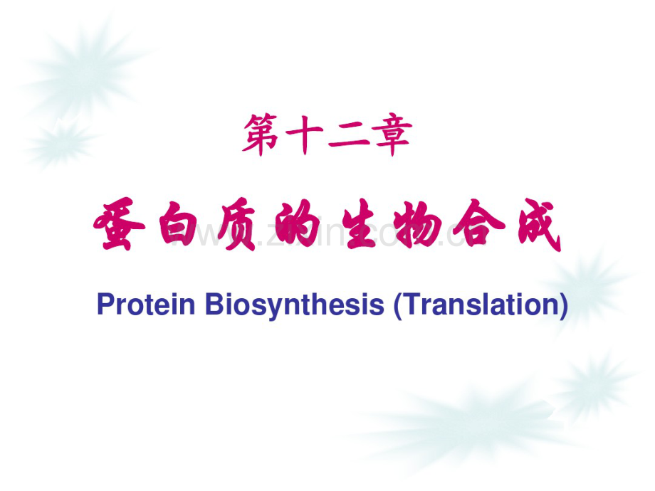 第12章蛋白质生物合成(20190827211819).pdf_第1页