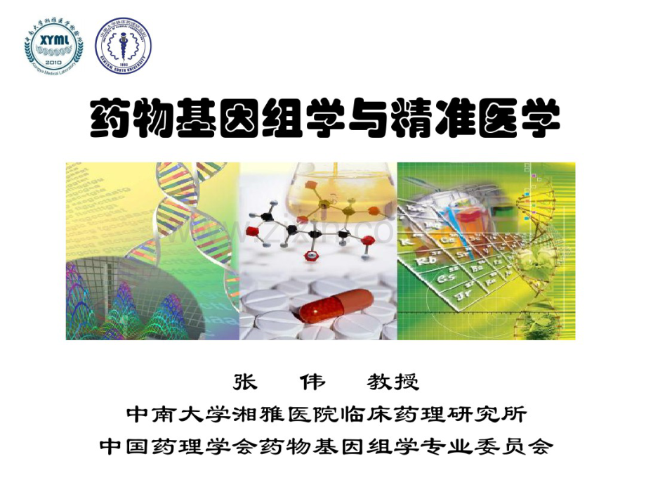 临床药理学-个体化药物治疗与精准医学.pdf_第1页