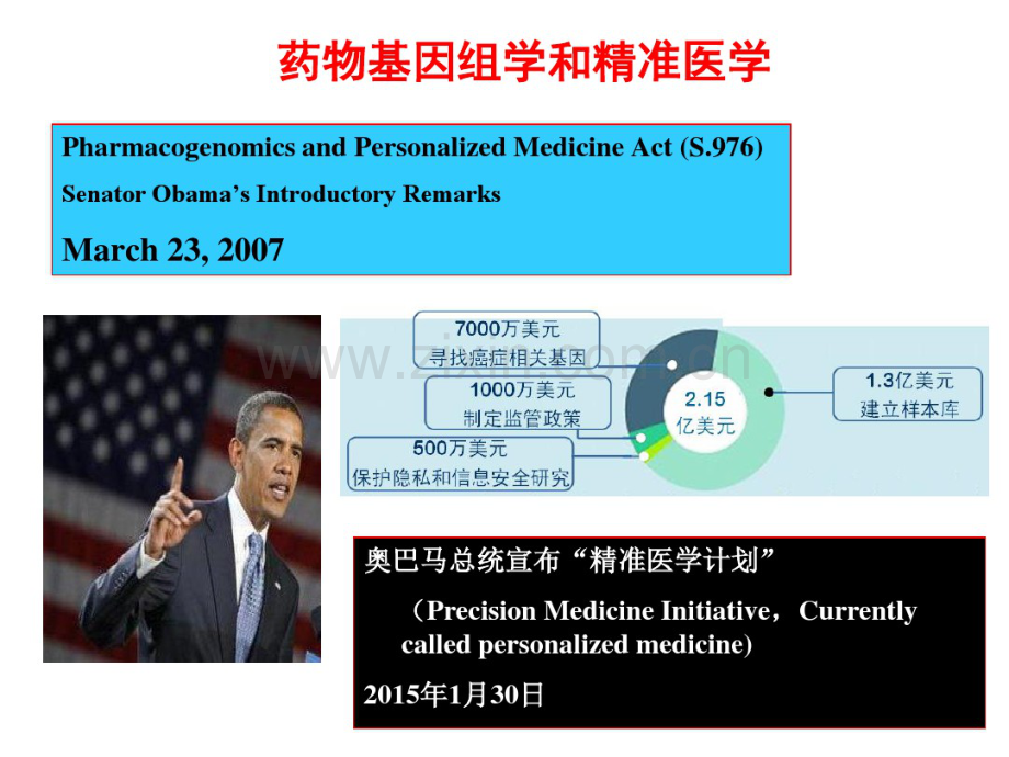 临床药理学-个体化药物治疗与精准医学.pdf_第2页