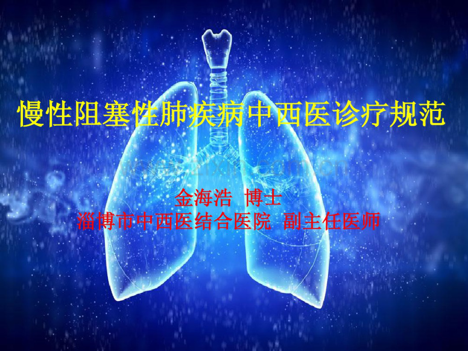 慢性阻塞性肺疾病中西医诊疗规范.pdf_第1页