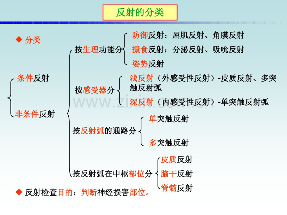 反射检查.pdf_第2页