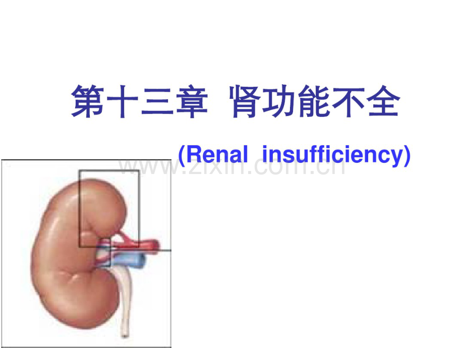 动物病理学13第十三章肾功能不全.pdf_第1页