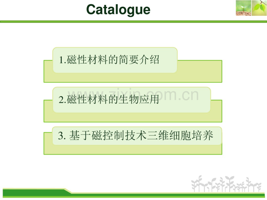 磁性材料在生物医学领域的应用.pdf_第2页