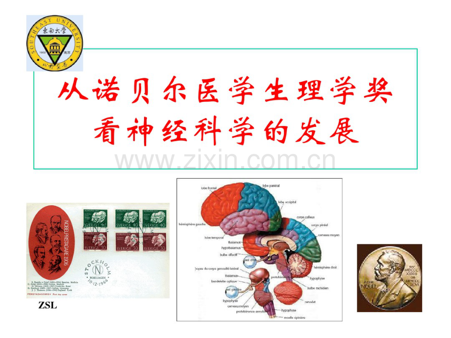 从诺贝尔医学生理学奖看神经科学的发展.pdf_第3页