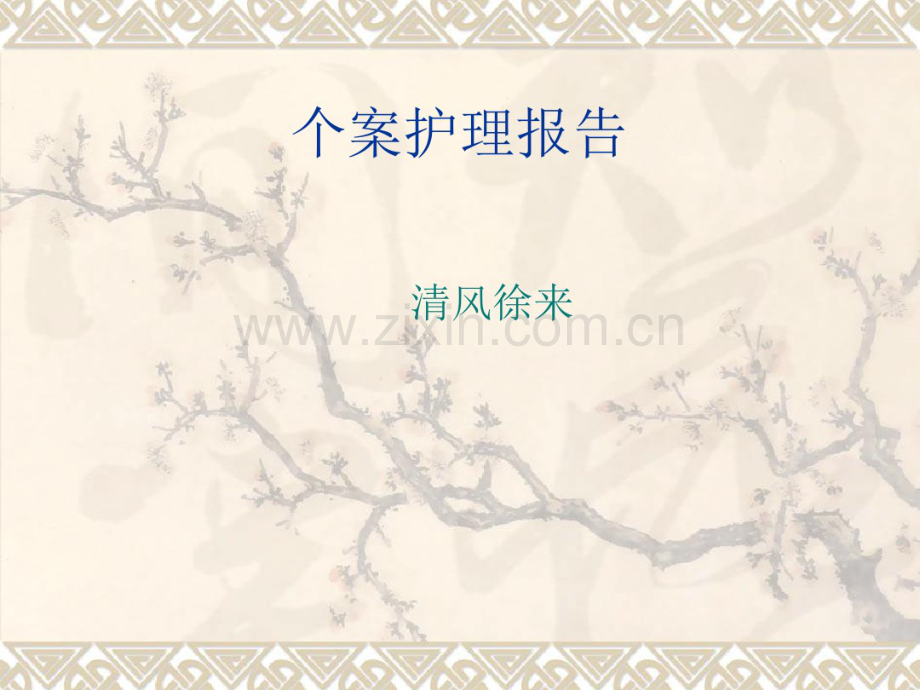 个案护理.pdf_第1页