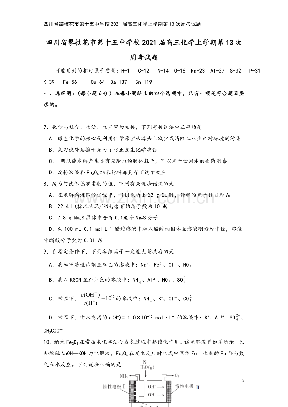 四川省攀枝花市第十五中学校2021届高三化学上学期第13次周考试题.doc_第2页