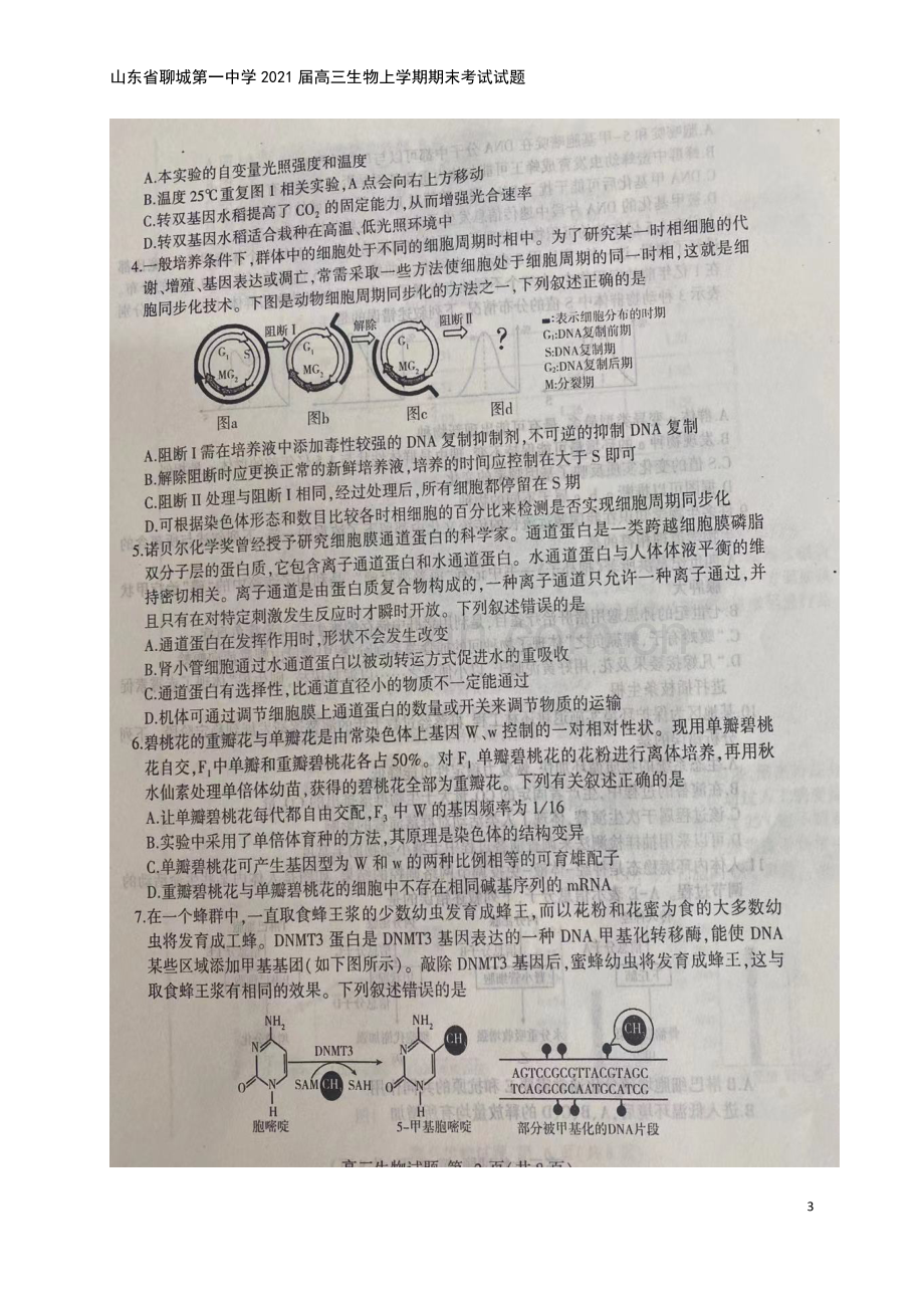 山东省聊城第一中学2021届高三生物上学期期末考试试题.doc_第3页