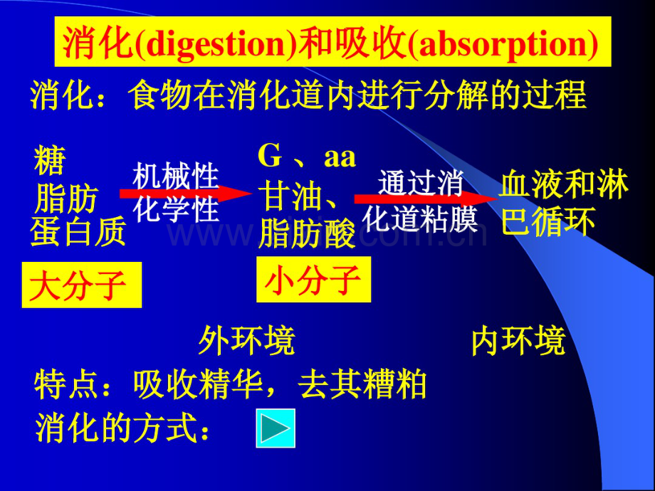 第六章消化.pdf_第3页