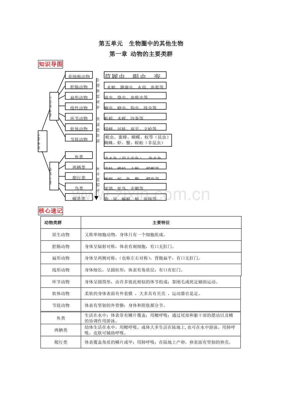 2018人教版八年级上册生物中考考点精华识记(思维导图版).pdf_第1页