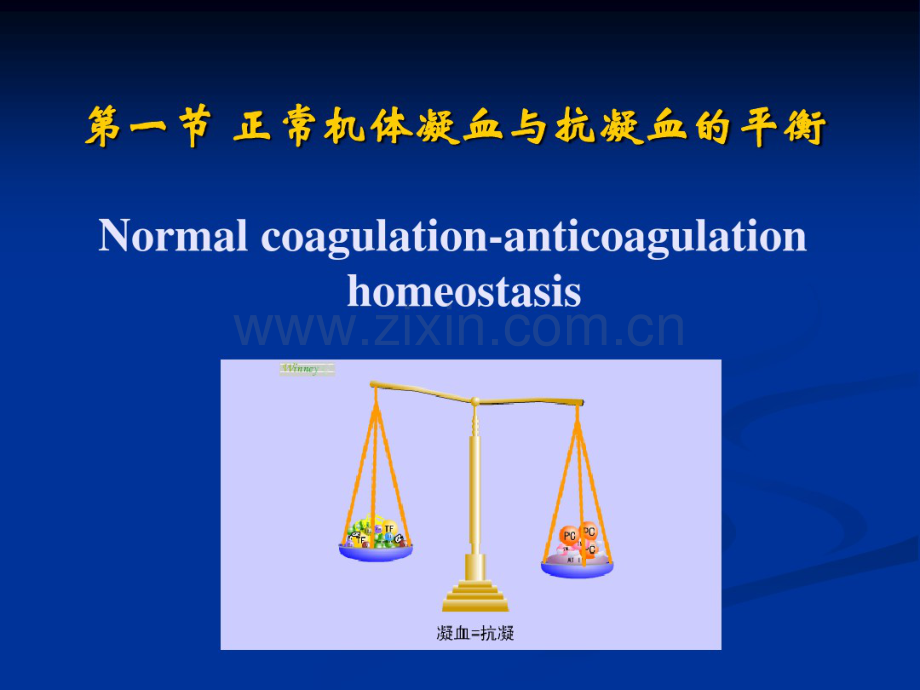 蛋白C系统与缺血性脑卒中.pdf_第1页