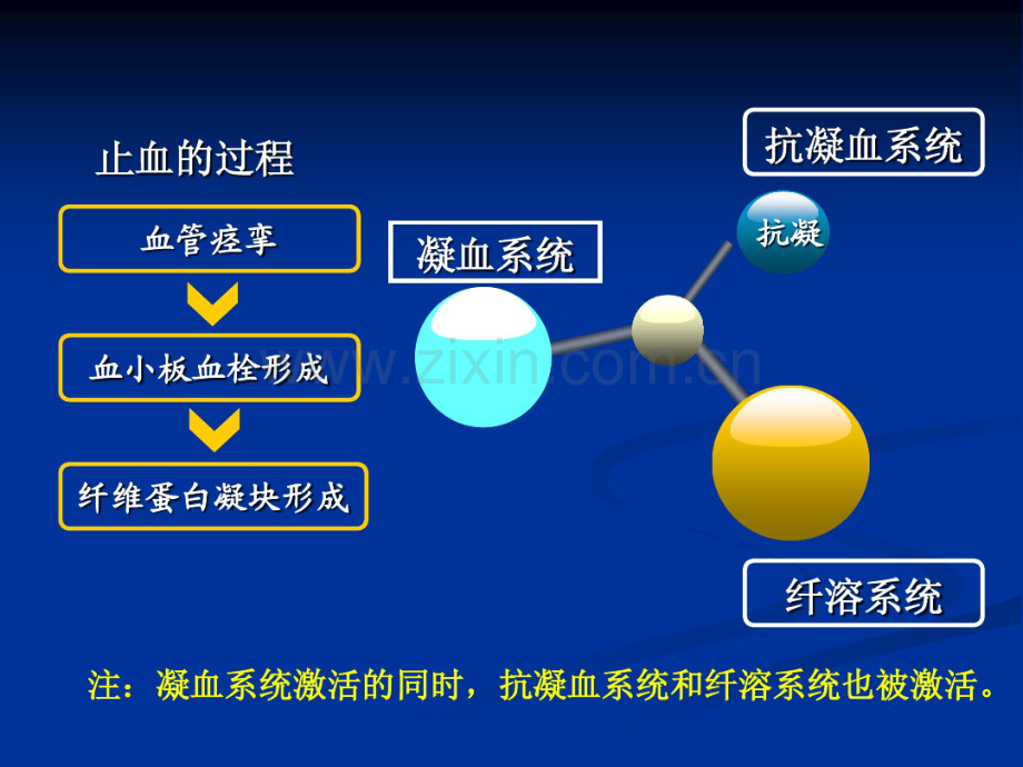 蛋白C系统与缺血性脑卒中.pdf_第2页