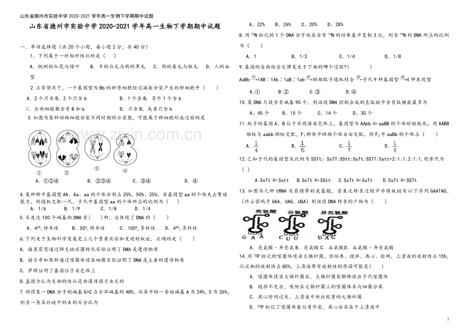 山东省德州市实验中学2020-2021学年高一生物下学期期中试题.doc_第2页