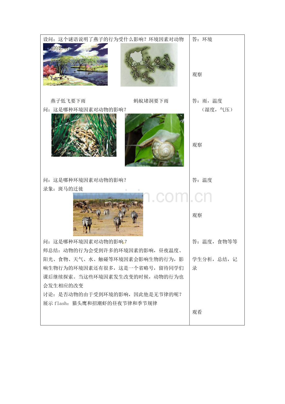 八年级科学上册-3.1-植物生命活动的调节教案-浙教版.pdf_第2页