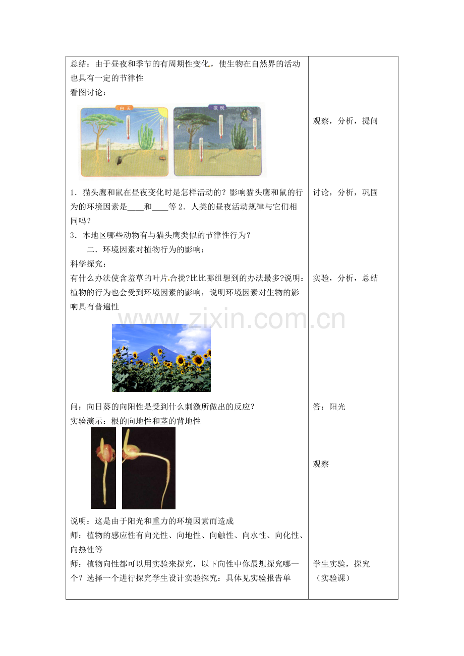 八年级科学上册-3.1-植物生命活动的调节教案-浙教版.pdf_第3页