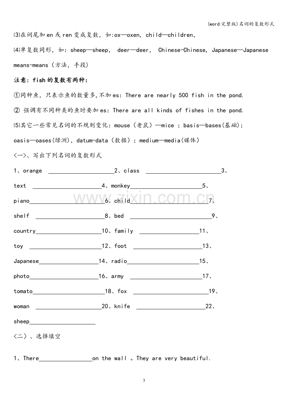 名词的复数形式.doc_第3页