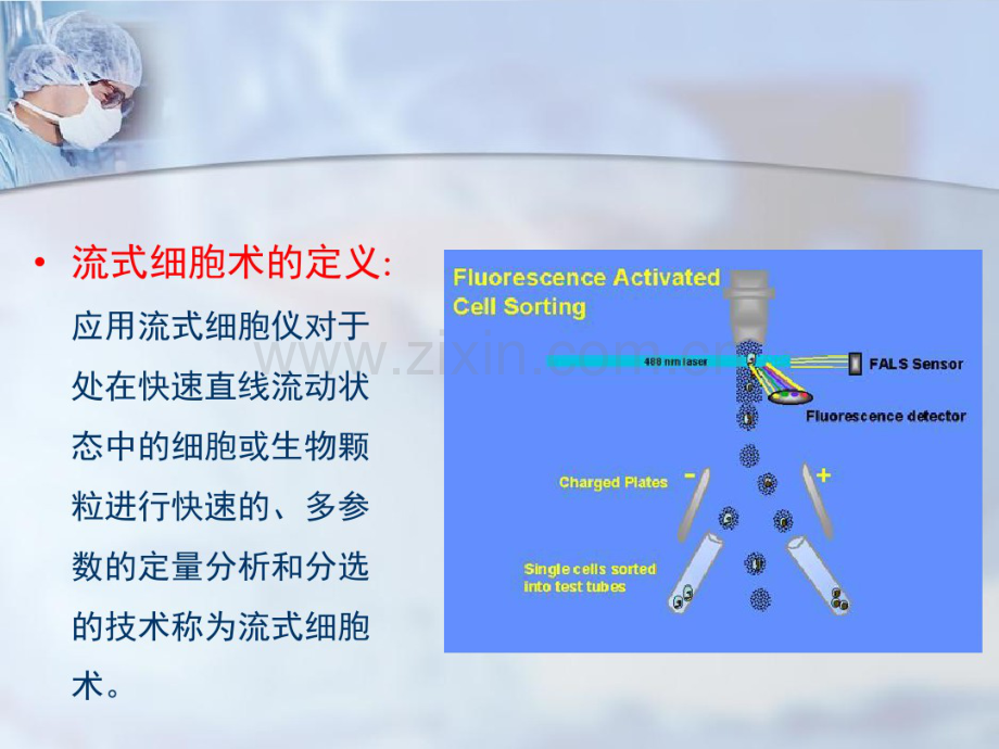 流式细胞仪(20190825180451).pdf_第3页