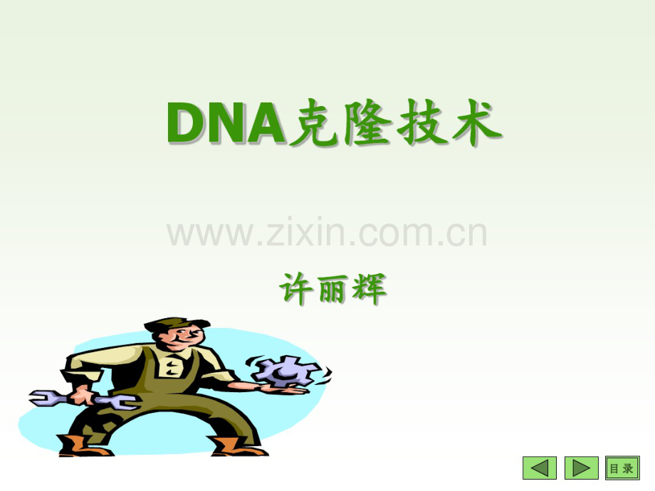 DNA克隆技术.pdf_第1页