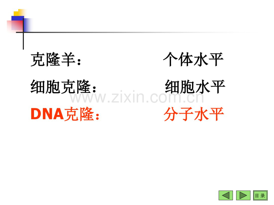 DNA克隆技术.pdf_第3页