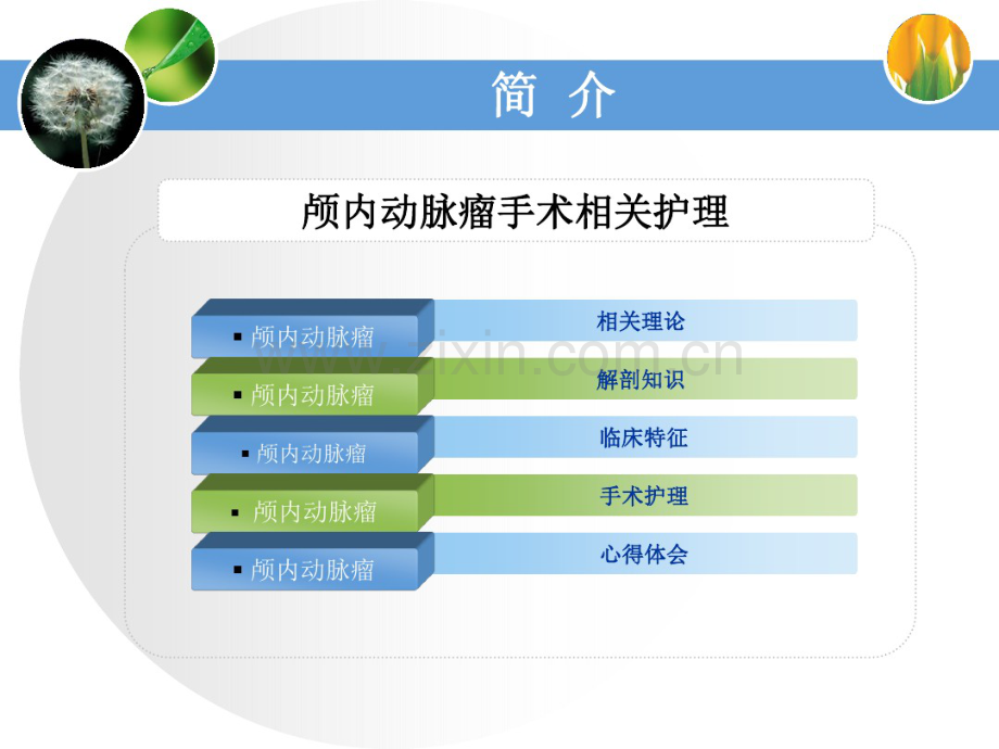 动脉瘤夹闭术的手术护理.pdf_第2页