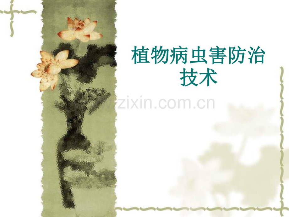 植物病虫害防治技术汇总.pdf_第1页