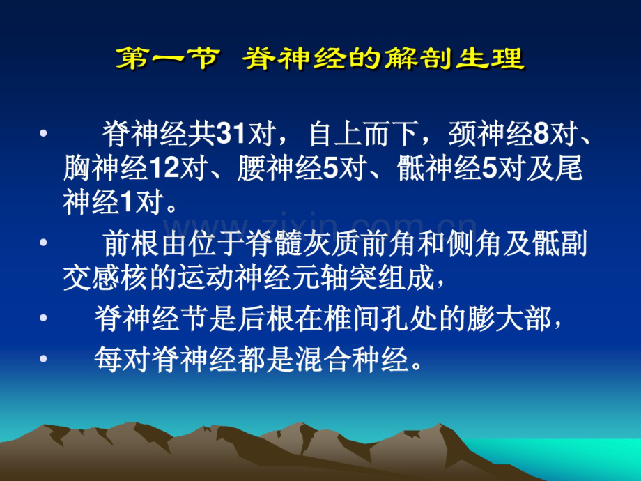 第六章脊神经及其损害的定位诊断.pdf_第3页