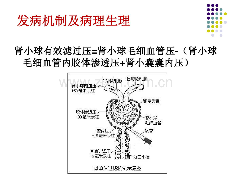 急性肾损伤与血液净化治疗.pdf_第3页