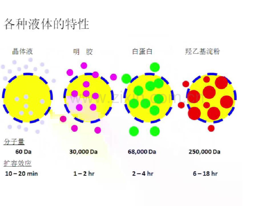 HES与复苏.pdf_第2页