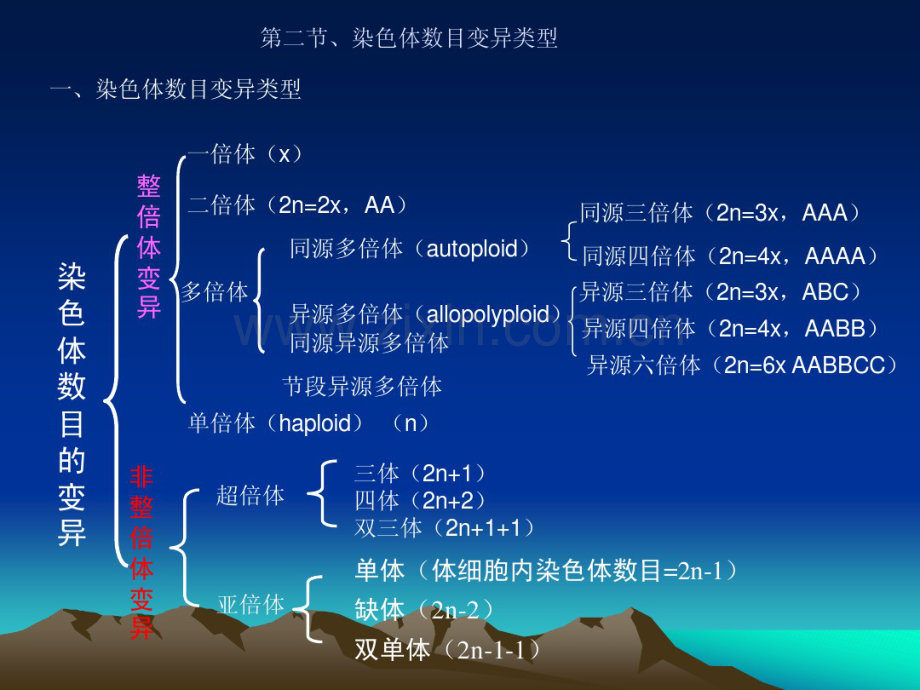 第六章染色体数目变异.pdf_第3页