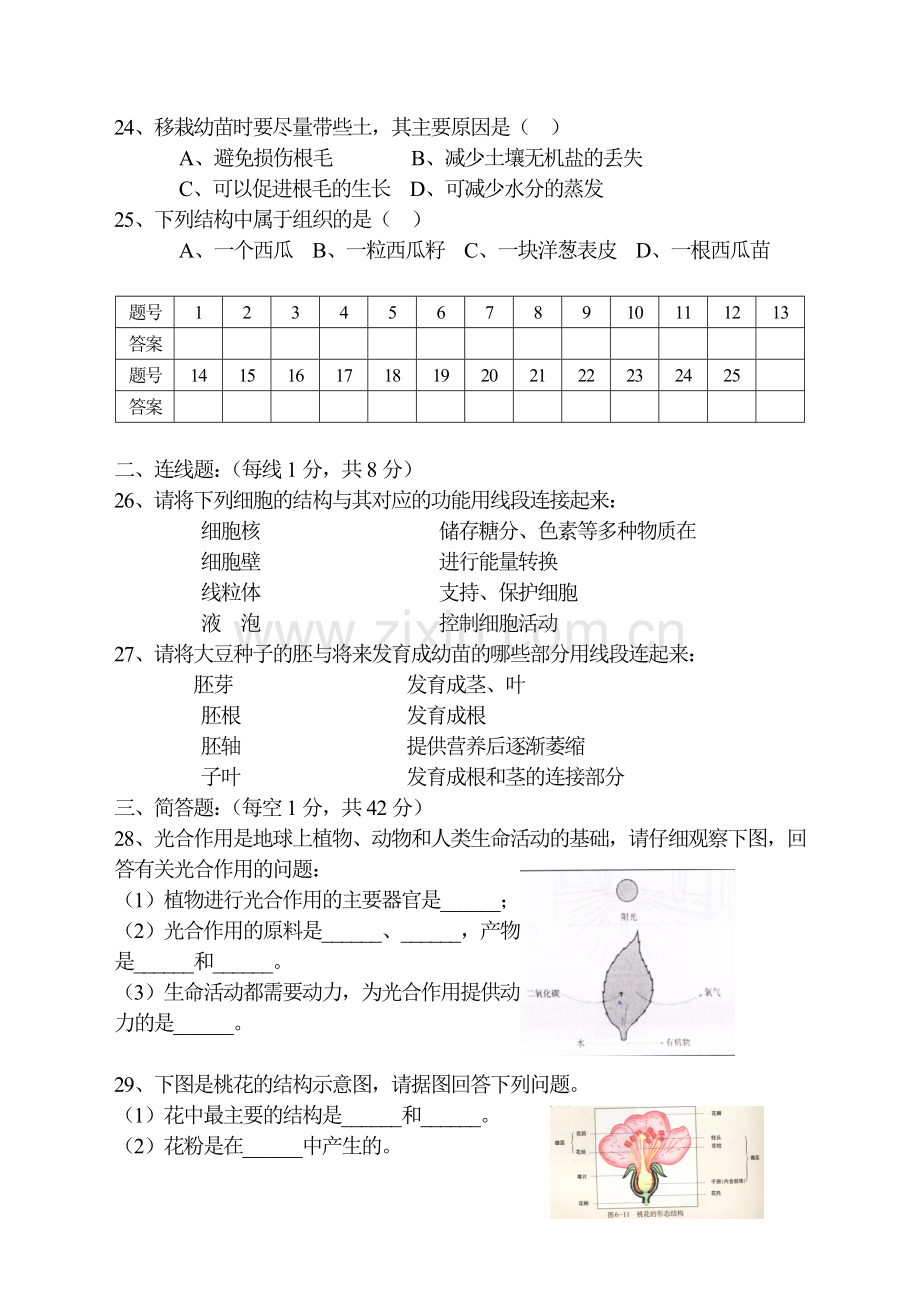 生物学七年级上册期末试卷(北师大版).doc_第3页