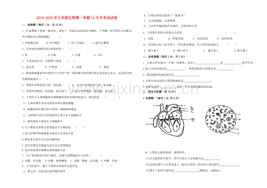 2019-2020年九年级生物第一学期12月月考试试卷.doc_第1页