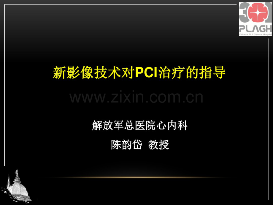 新影像技术对PCI治疗的指导.pdf_第1页