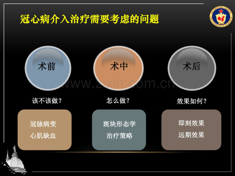 新影像技术对PCI治疗的指导.pdf_第2页