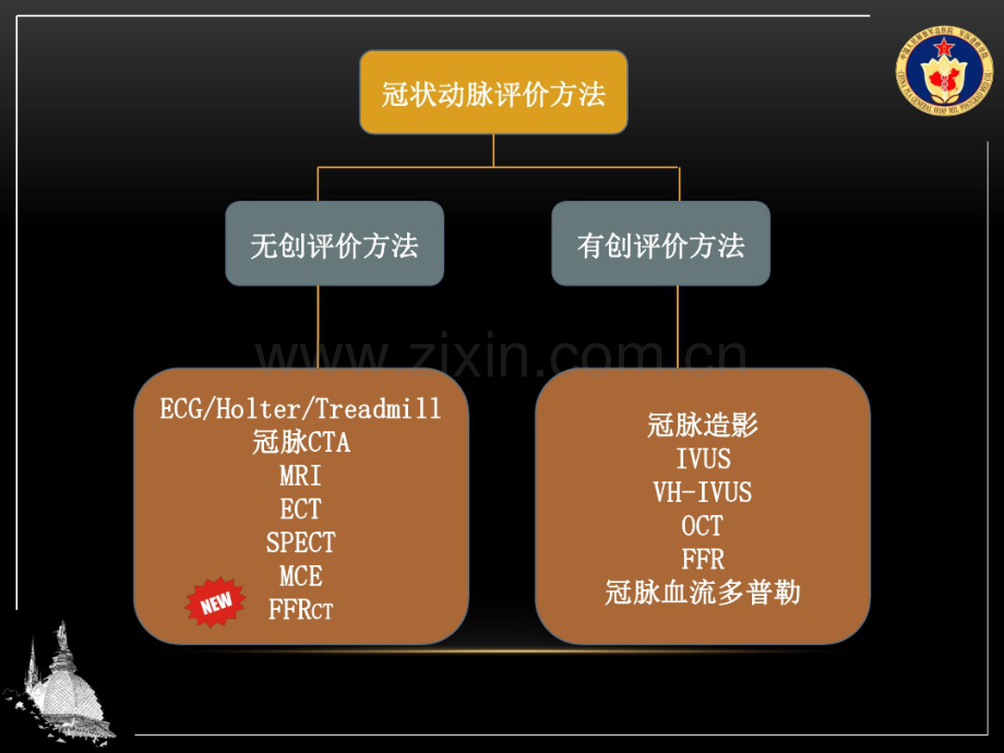 新影像技术对PCI治疗的指导.pdf_第3页