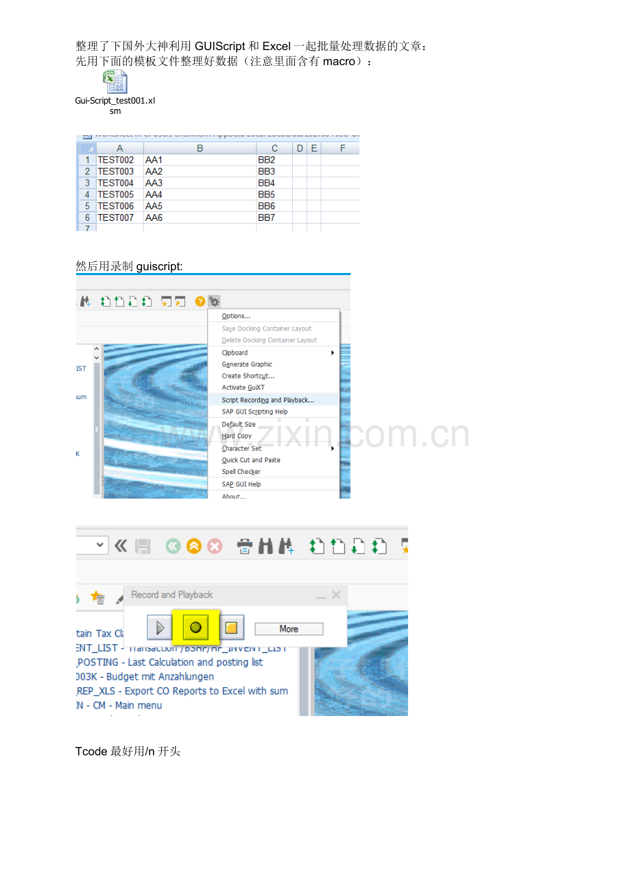 SAPGuiScript与Excel批量处理.doc_第1页