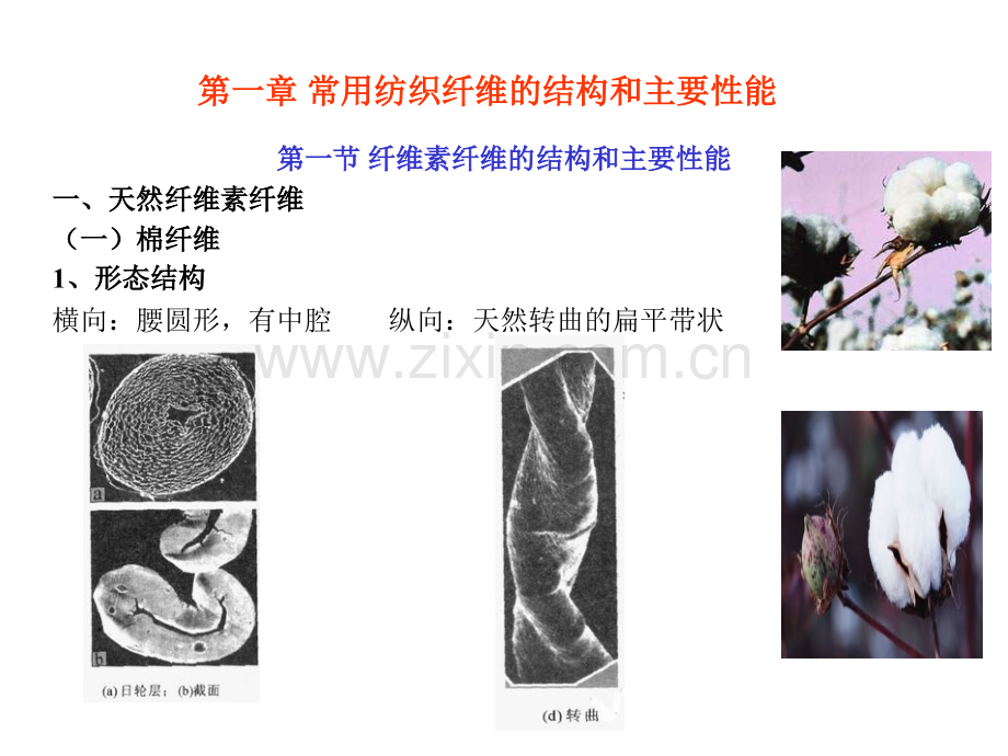 第一章常用纺织纤维的结构和主要性能.ppt_第2页