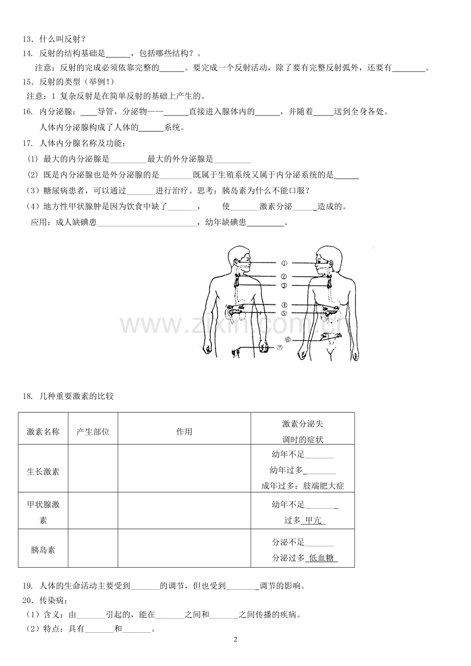 鲁教版七年级生物-初二下册复习提纲.doc_第2页