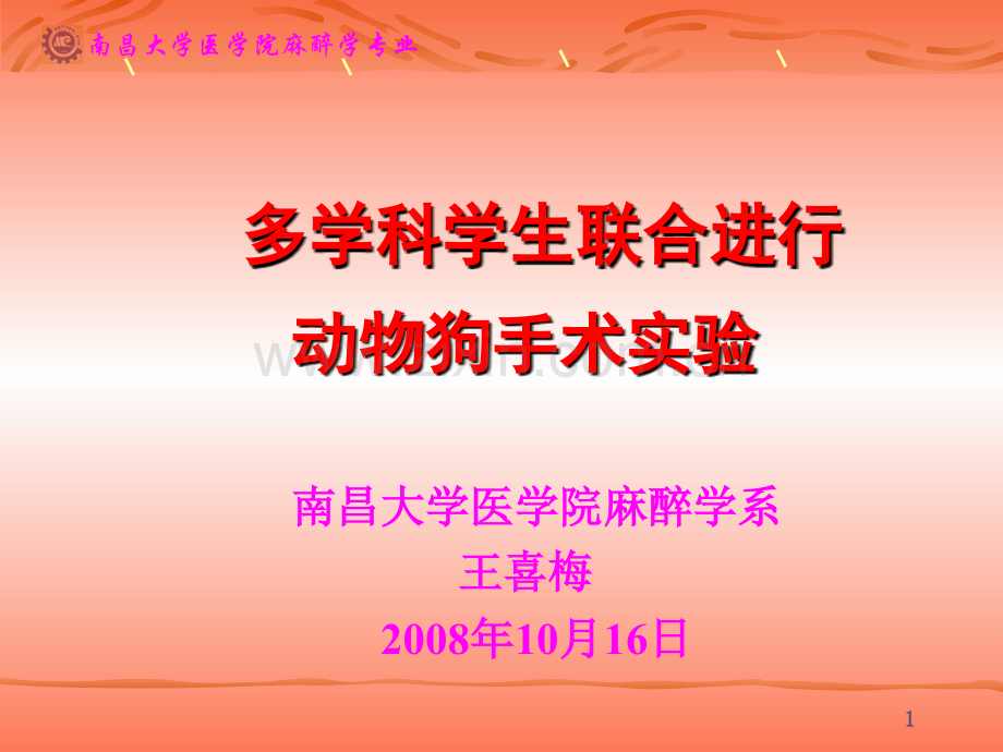 多学科学生联合进行动物狗手术实验南昌大学医学院麻醉学系王喜梅.ppt_第1页