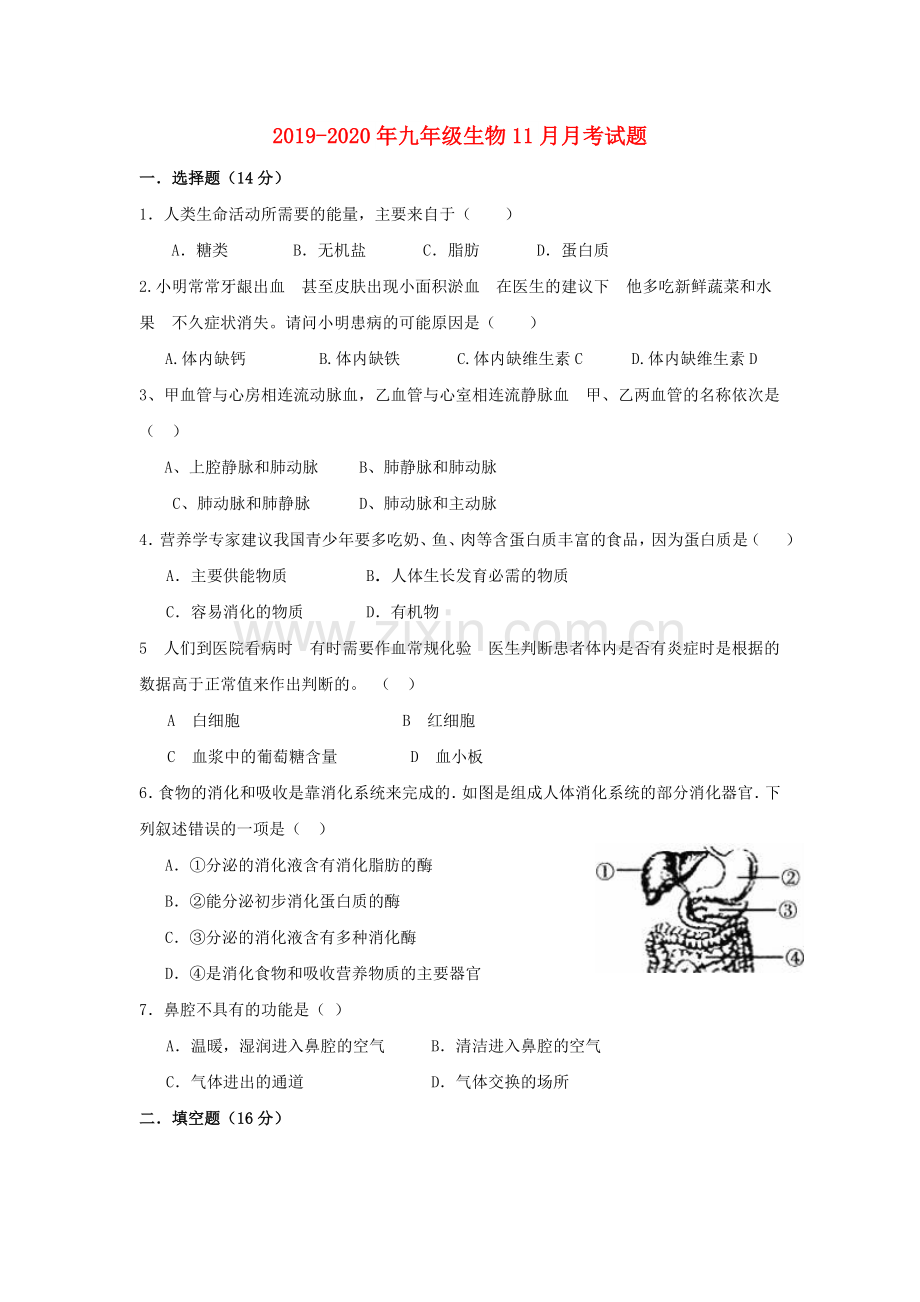 2019-2020年九年级生物11月月考试题.doc_第1页