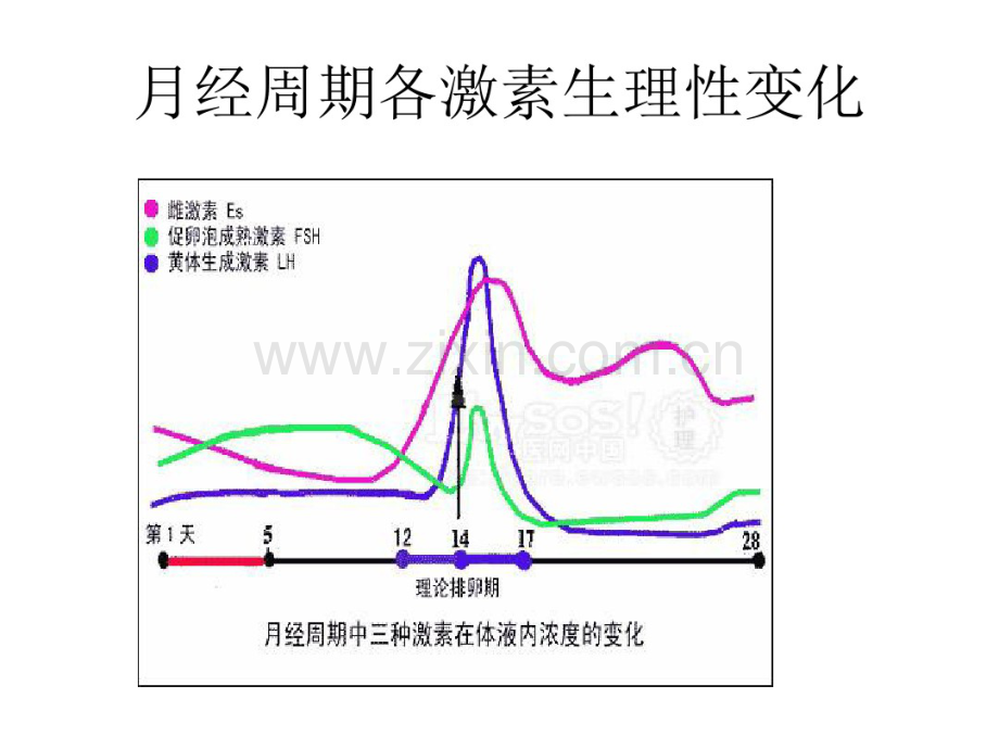 促排方案.pdf_第3页