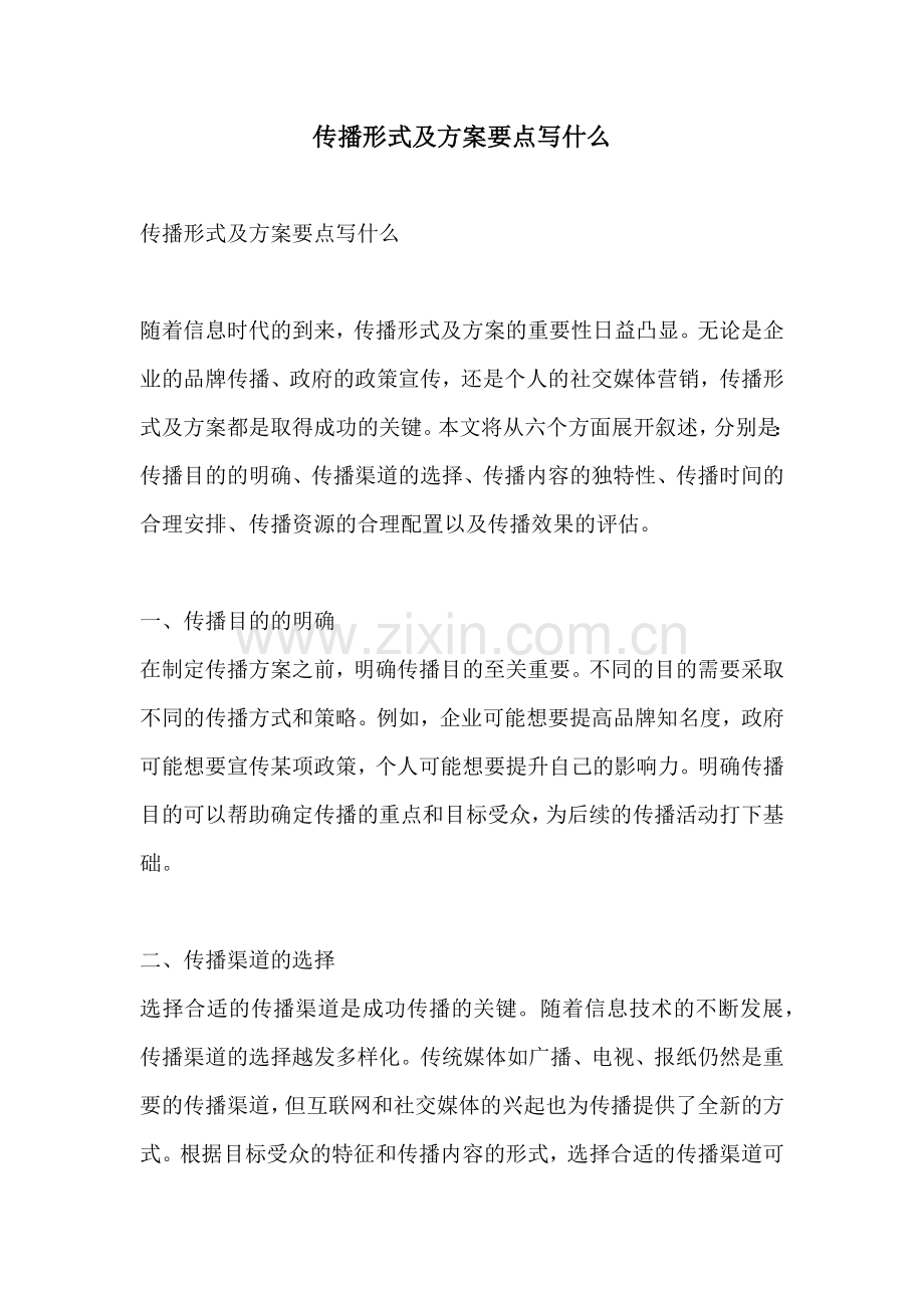 传播形式及方案要点写什么.docx_第1页