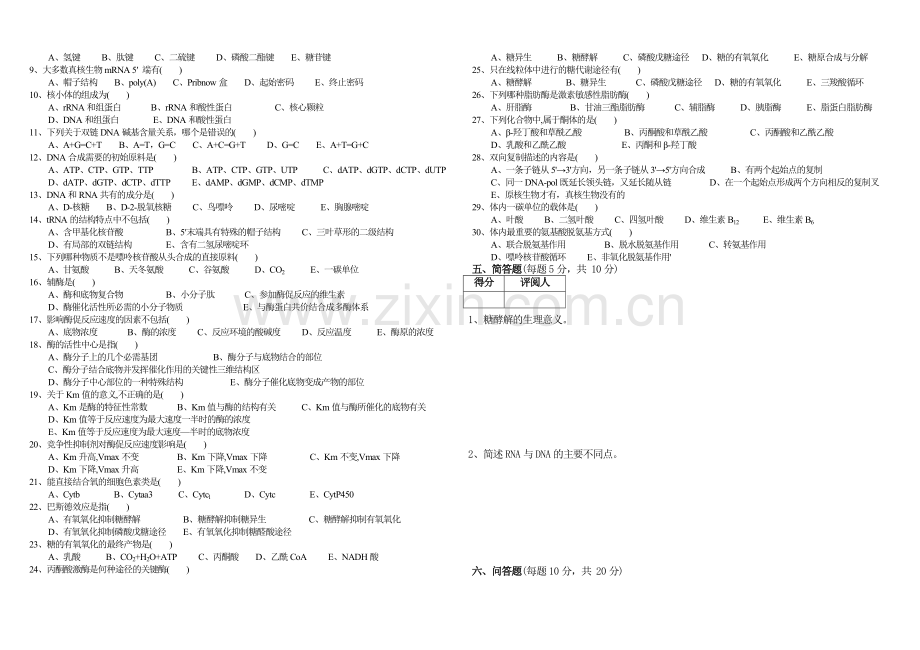 生化期末试卷及答案.doc_第2页