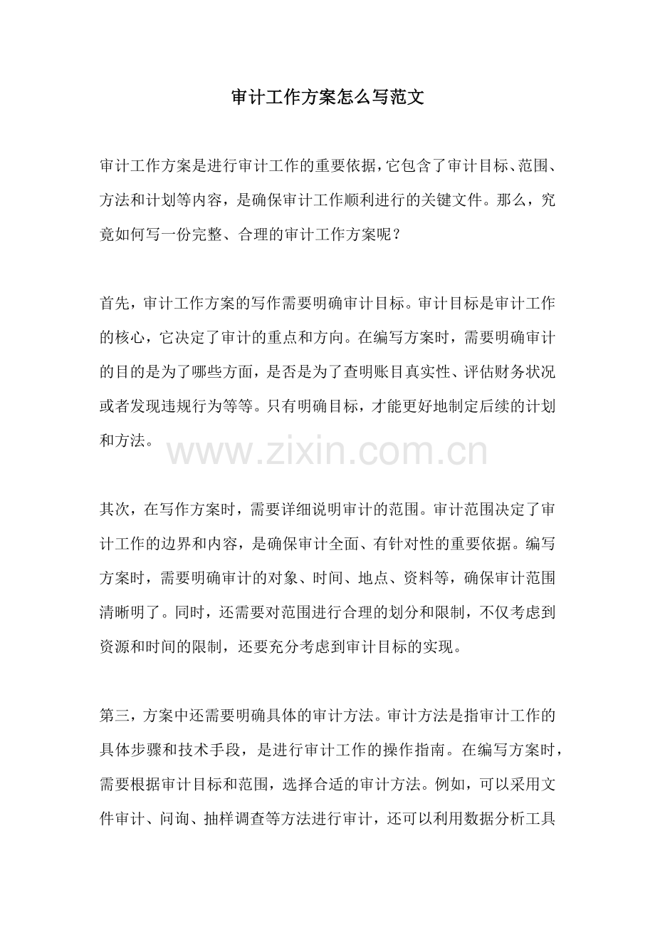 审计工作方案怎么写范文.docx_第1页