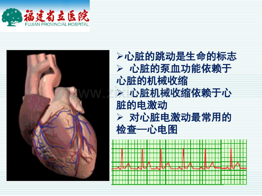 常见心电图及心电图危急值认识.pdf_第3页