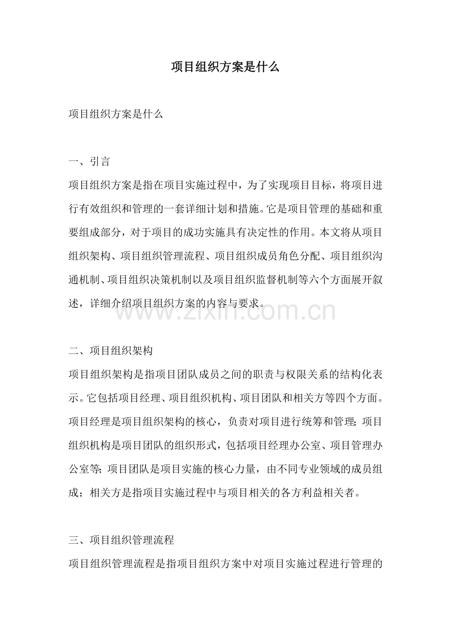 项目组织方案是什么.docx_第1页