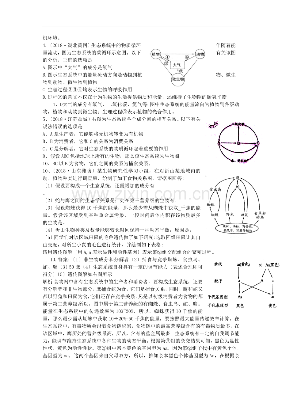 2019全国中考生物试题分类汇编与解析-专项一生物与环境.doc_第3页