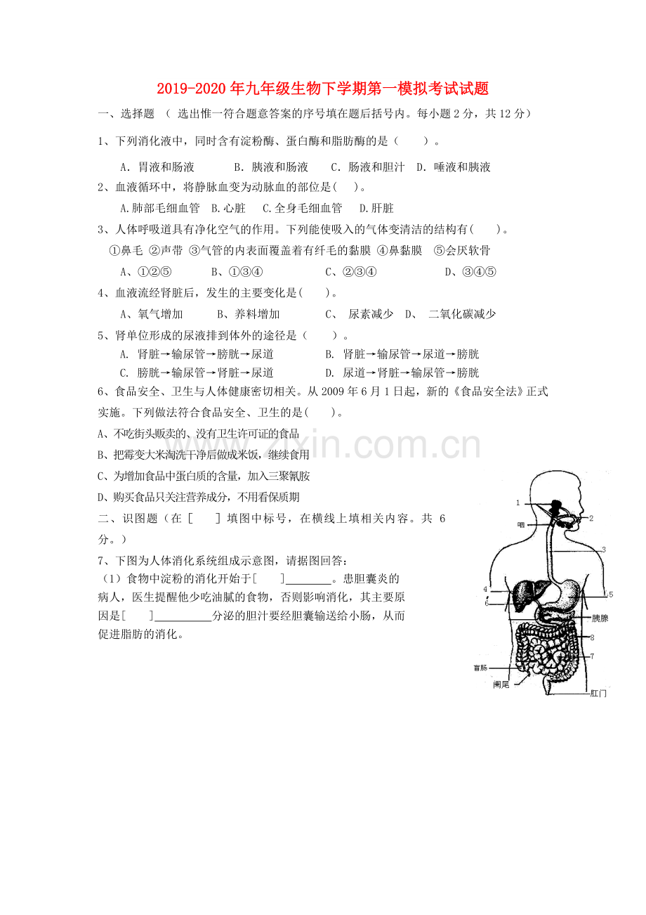 2019-2020年九年级生物下学期第一模拟考试试题.doc_第1页