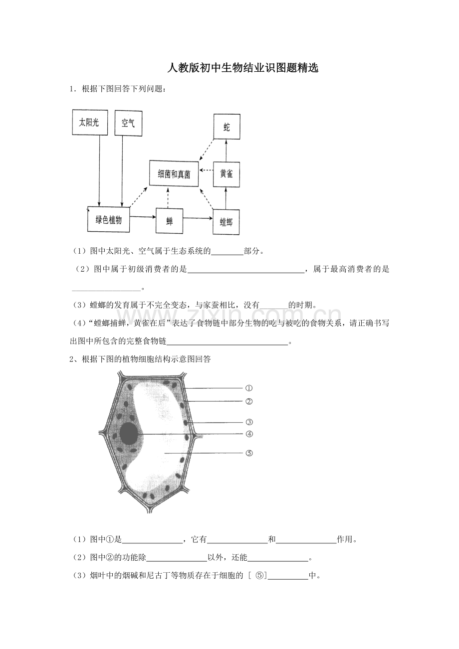 人教版初中生物识图专题(整理版).doc_第1页